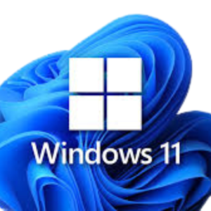 Windows 11